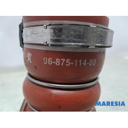 Peugeot - 3008 - Intercooler Schlauch