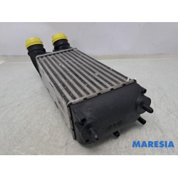 Peugeot - 3008 - Ladeluftkühler