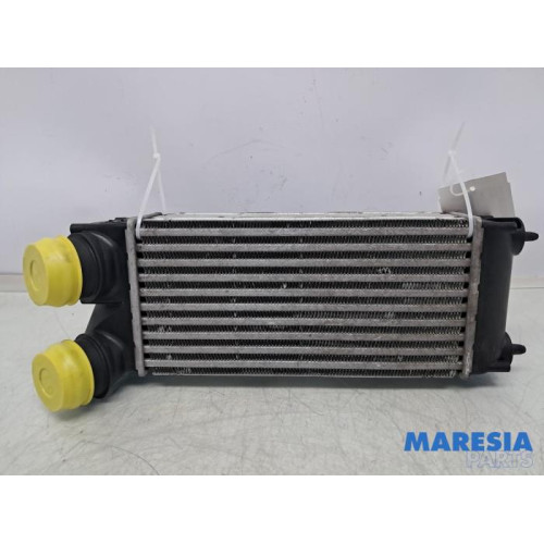 Peugeot - 3008 - Intercooler