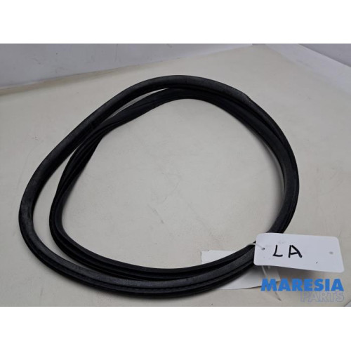 Peugeot - 3008 - Portierrubber 4Deurs links-achter