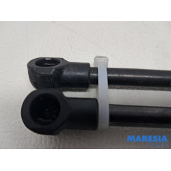 Alfa Romeo - Giulia - Set of bonnet gas struts