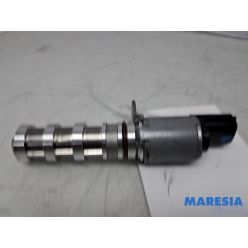 Renault - Clio - Nokkenas Verstelling