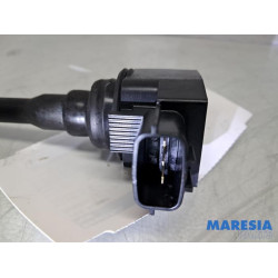 Renault - Clio - Stift Zündspule