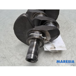 Renault - Megane - Krukas