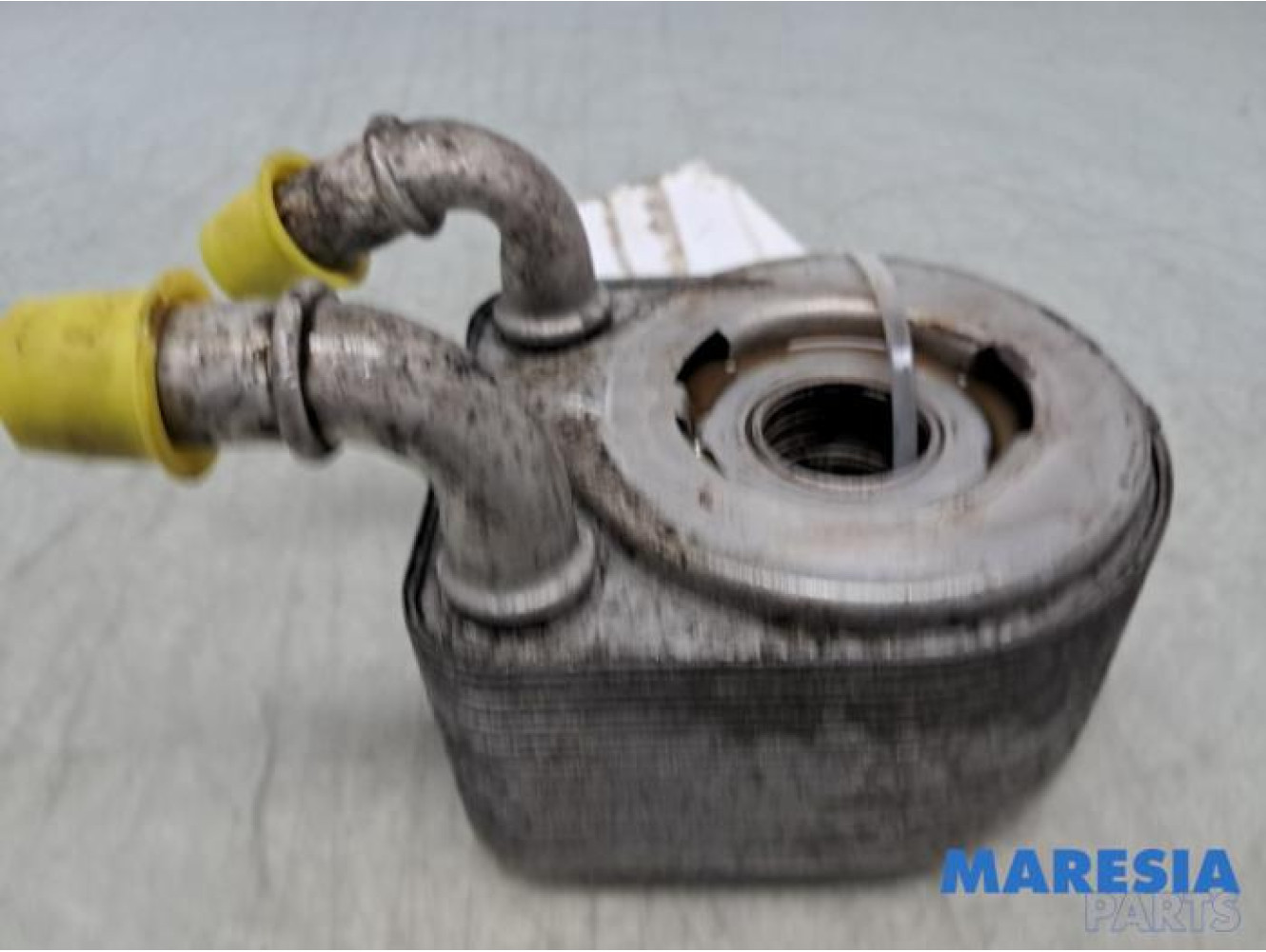 Renault - Megane - Oliekoeler