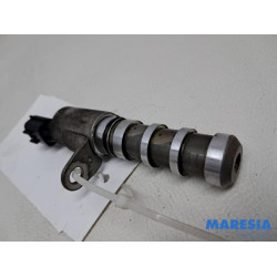 Renault - Megane - Nokkenas Verstelling