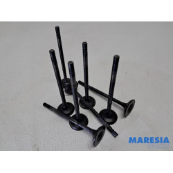 Renault - Megane - Induction valve