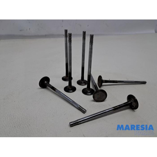 Renault - Megane - Auspuffventil