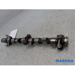 Fiat - 500 - Nokkenas