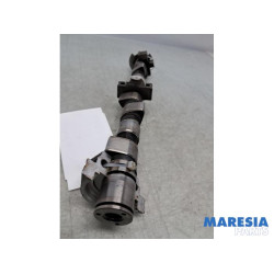 Fiat - 500 - Nokkenas