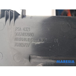 Citroen - C4 Picasso - Carbon filter