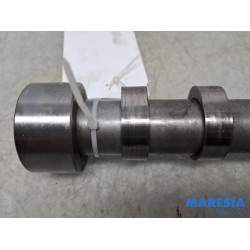 Fiat - Ducato - Camshaft