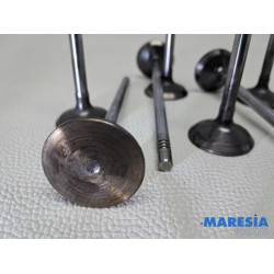 Fiat - Ducato - Induction valve