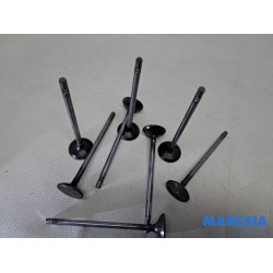 Fiat - Ducato - Induction valve