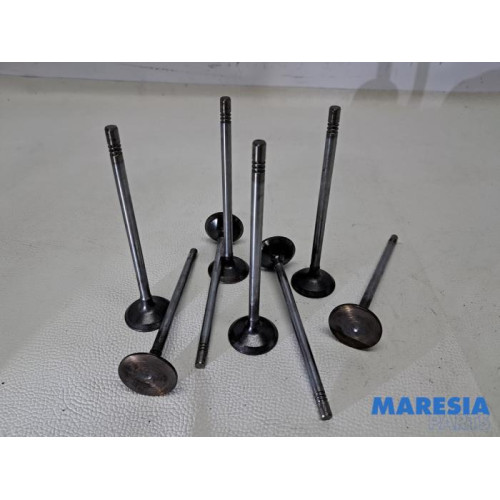 Fiat - Ducato - Induction valve