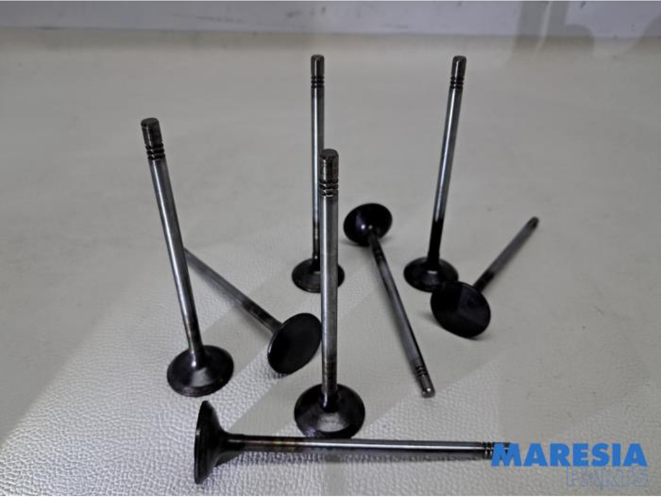 Fiat - Ducato - Exhaust valve