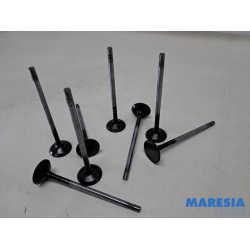 Fiat - Ducato - Exhaust valve