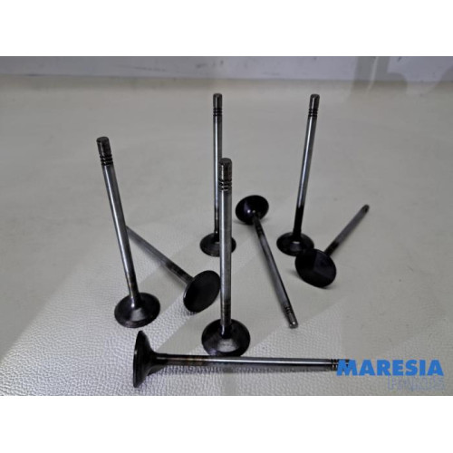 Fiat - Ducato - Exhaust valve