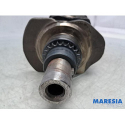 Peugeot - Expert - Krukas