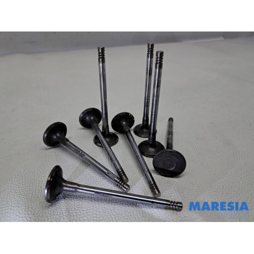 Peugeot - Expert - Induction valve