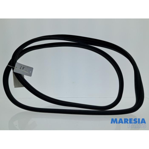 Fiat - 500 - Türgummi 2-türig links