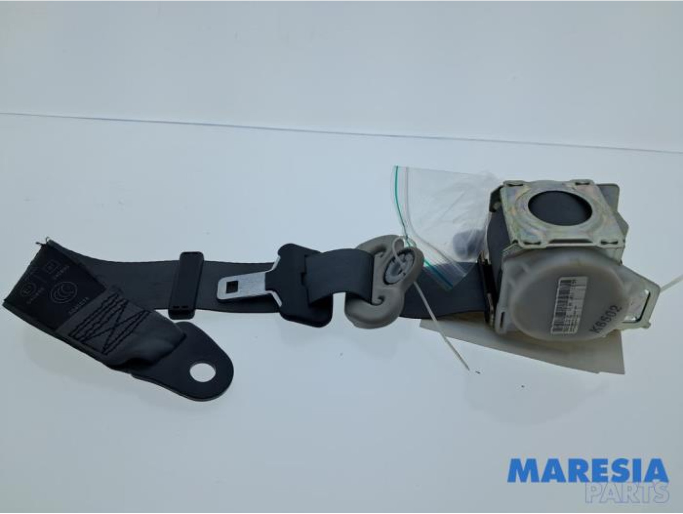 Citroen - Berlingo - Sicherheitsgurt rechts hinten