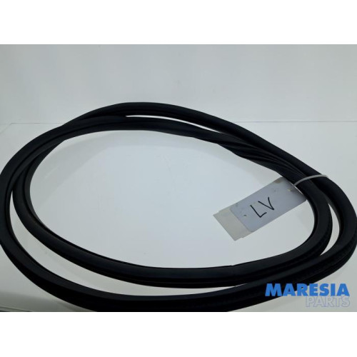 Peugeot - 2008 - Front door seal 4-door, left