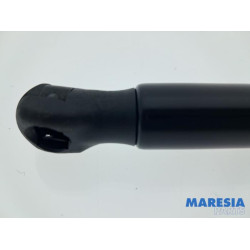 Citroen - C4 Picasso - Set Gasdämpfer Heckklappe