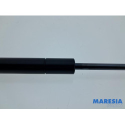 Citroen - C4 Picasso - Set Gasdämpfer Heckklappe