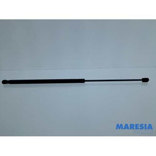 Citroen - C4 Picasso - Set Gasdämpfer Heckklappe