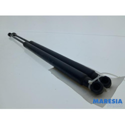 Fiat - 500 - Set of tailgate gas struts
