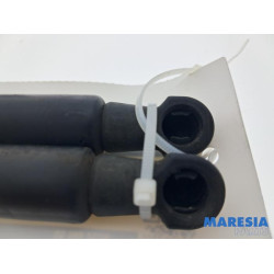Fiat - 500 - Set of tailgate gas struts
