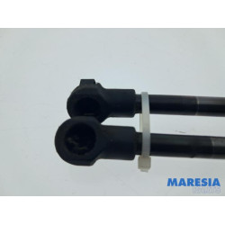 Fiat - 500 - Set of tailgate gas struts