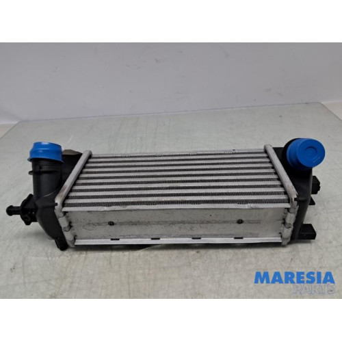 Fiat - 500 - Ladeluftkühler