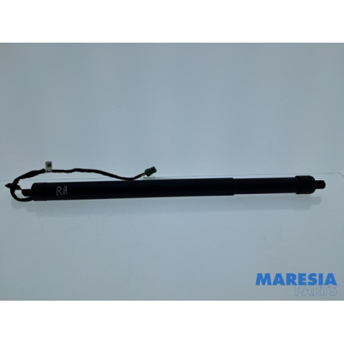 Peugeot - 3008 - Gasdemper rechts-achter