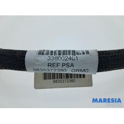 Peugeot - 3008 - Battery pole