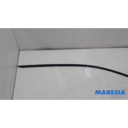 Peugeot - 3008 - Daklijst links