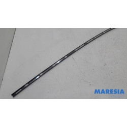 Peugeot - 3008 - Daklijst links