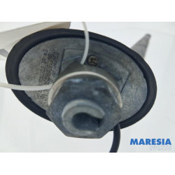 Lancia - Delta - Antenna