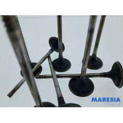 Peugeot - 3008 - Induction valve