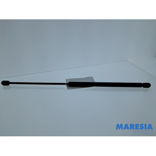 Citroen - C1 - Gasdämpfer links hinten