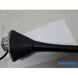 Fiat - 500 - Antenne