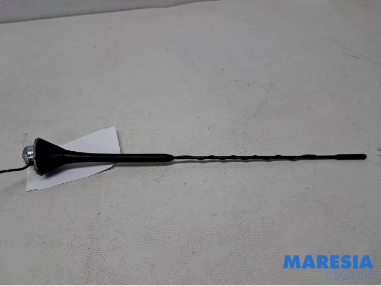 Fiat - 500 - Antenne