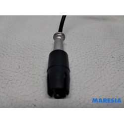 Fiat - 500 - Antenne