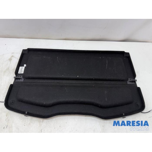 Renault - Scenic - Hoedenplank