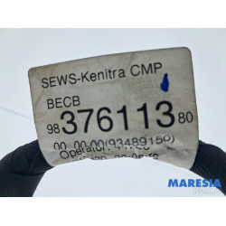 Peugeot - 2008 - Accu sensor