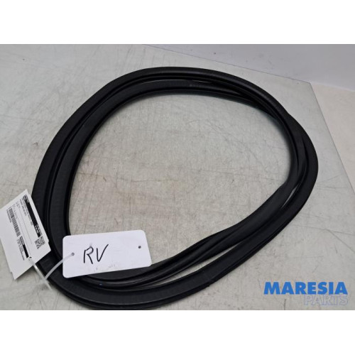 Peugeot - 2008 - Front door seal 4-door, right