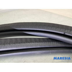 Peugeot - 2008 - Portierrubber 4Deurs links-achter