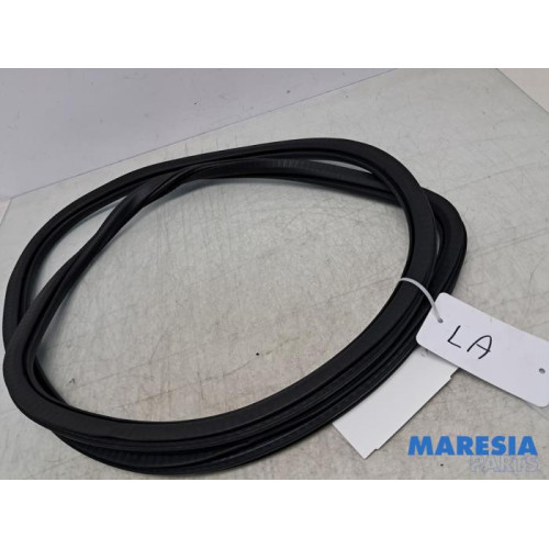 Peugeot - 2008 - Portierrubber 4Deurs links-achter