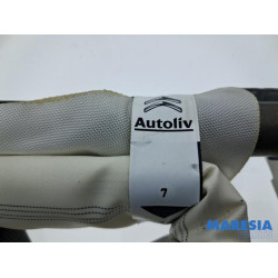 Peugeot - 2008 - Airbag hemel links